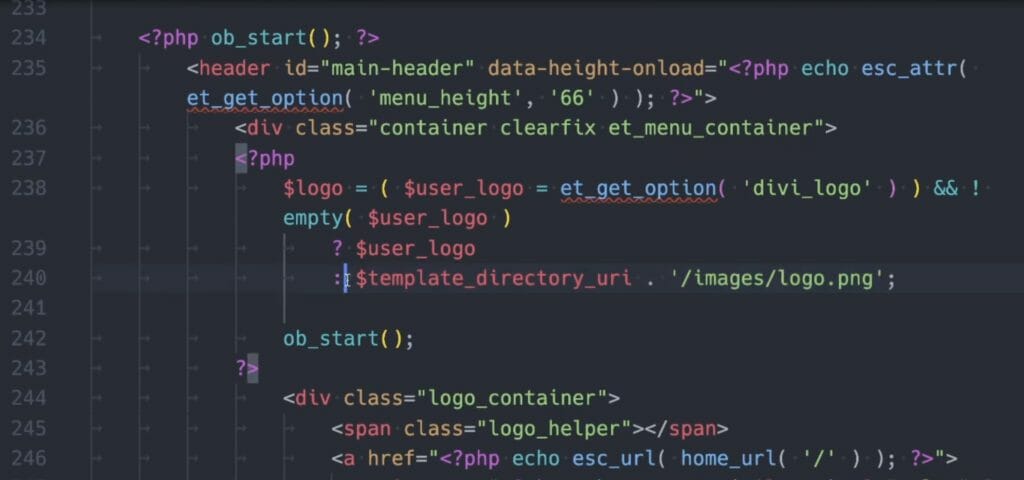 Code Block des user_logo in der header.php