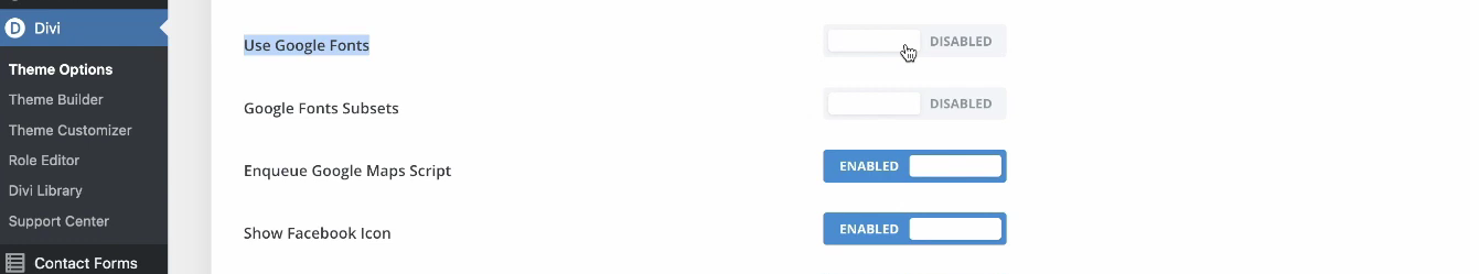 Screenshot aus dem WordPress Backend mit abgeschaltenem Google Fonts bei Divi.
