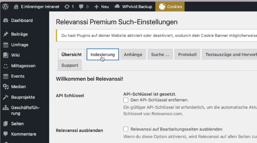 Backend von WordPress mit zeiger auf RelevanSSI Indexing