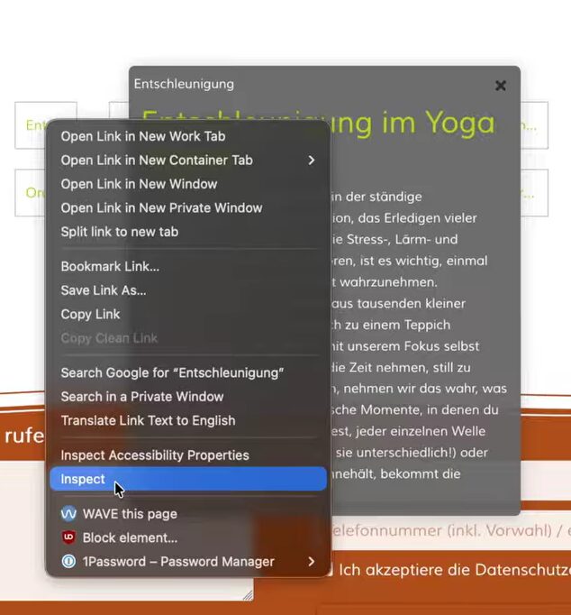 Screenshot aus Browser mit Maus über dem "Inspect"-Knopf