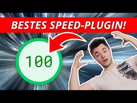 Das beste WordPress Speed Plugin: In 5 Minuten zu 100 Punkten bei PageSpeed